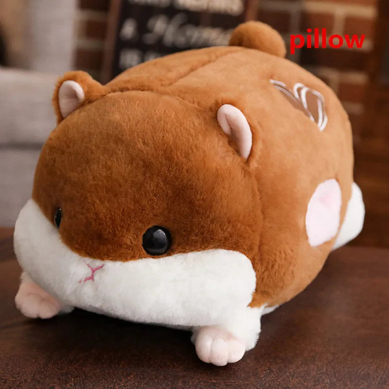 image_4