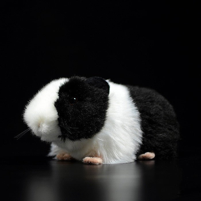 image_1